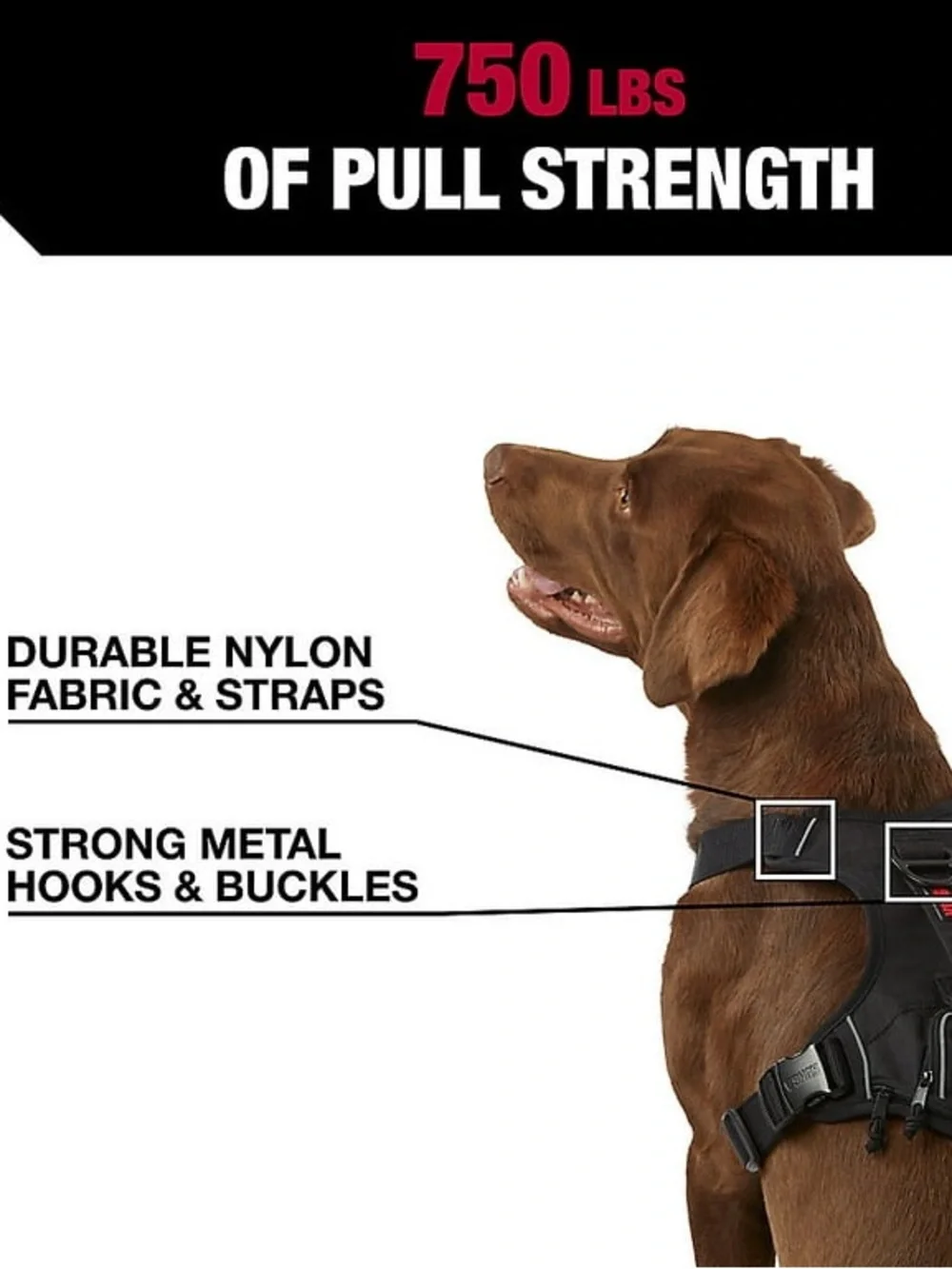 Kong Black Dog Harness